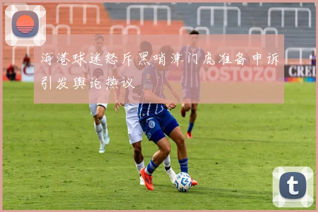 海港球迷怒斥黑哨津门虎准备申诉引发舆论热议